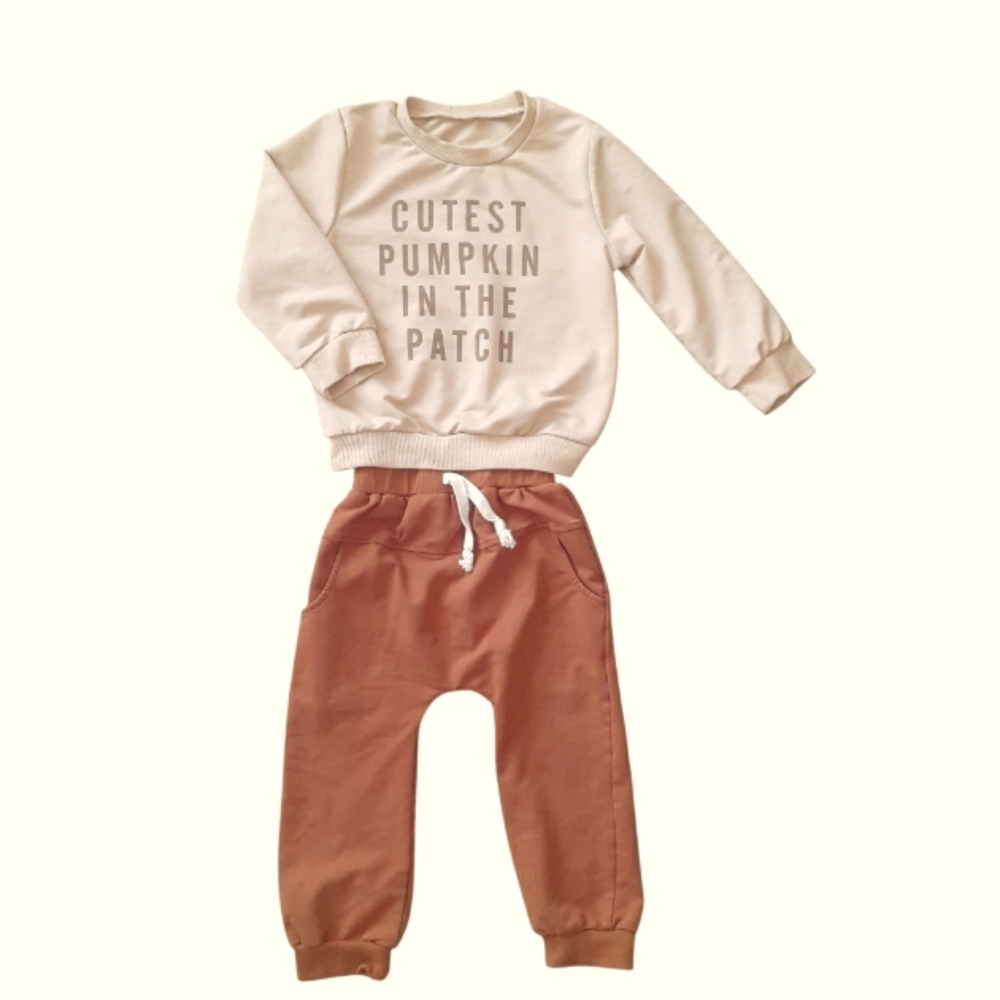 Pumpkin Patch Fall Cream and Brown Sweatshirt and Joggers Set 12M